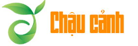 Mẫu website bán chậu cây cảnh đẹp chuẩn seo